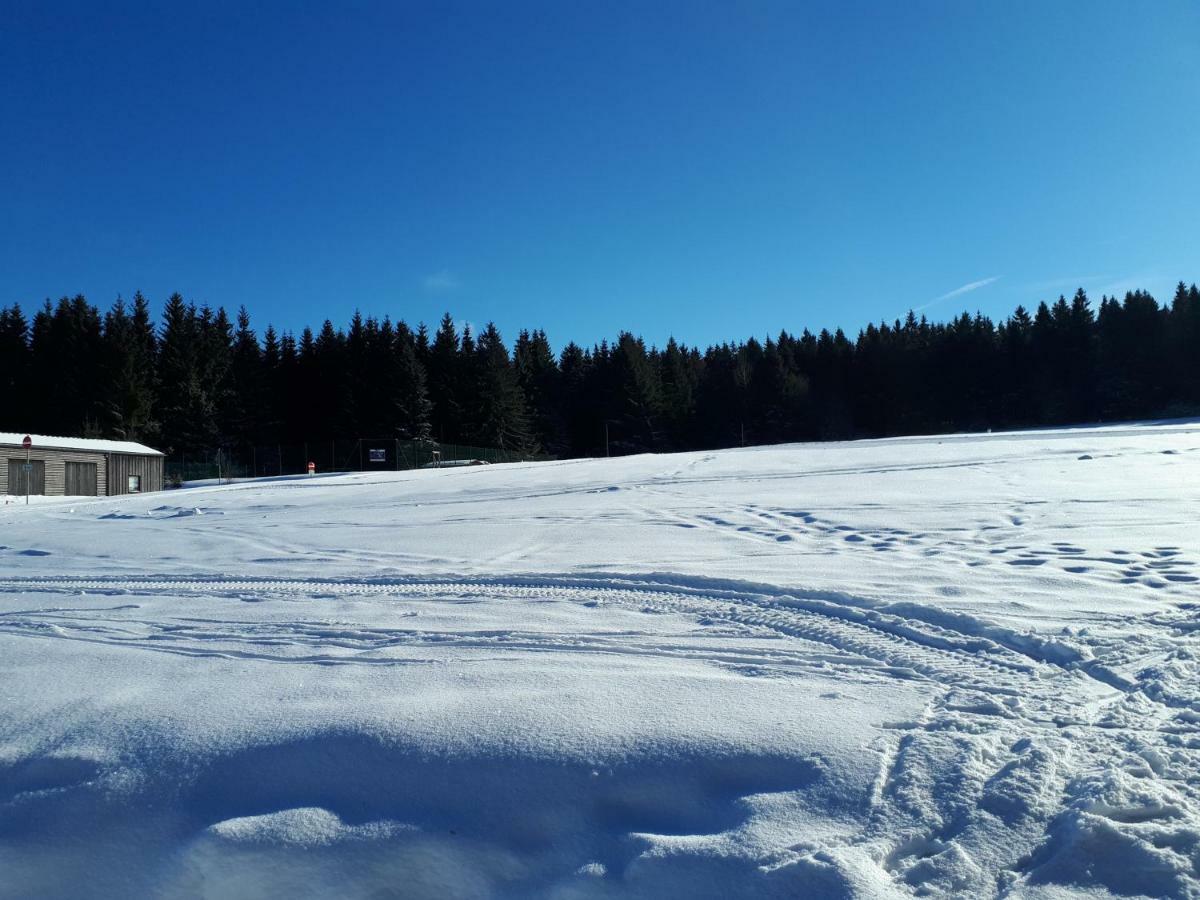 Ferienwohnung Kupfer Schmiedefeld am Rennsteig Exterior foto